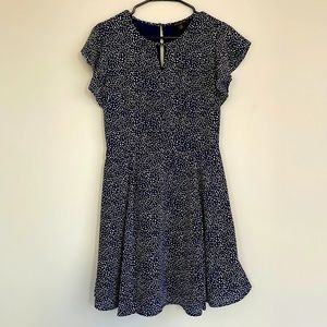 Blue and White Banana Republic Dress